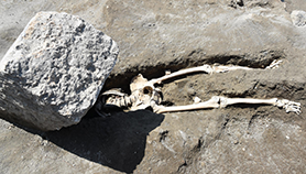 20230629_pompeii_victim.png